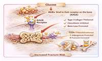 Examining Pioglitazone-Induced Fracture Risk Cardiovascular Benefits Versus Skeletal Adverse Effects