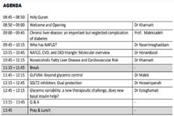 3rd Diabetes Perspective Forum: Hepato-Cardio-Renal-Metabolic Continuum